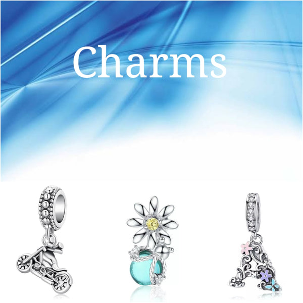 Sterling Silver Pandora Style Charms