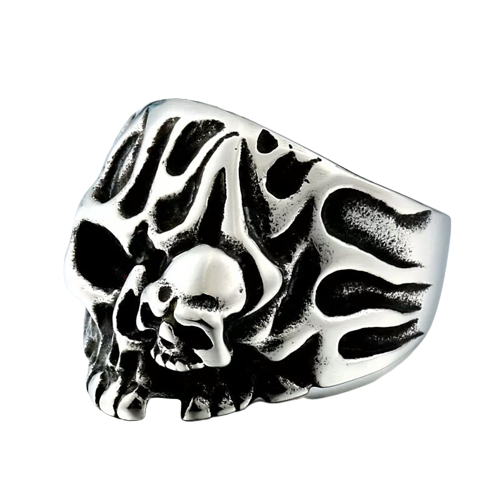 Stainless Steel Skull in a Skull Ring